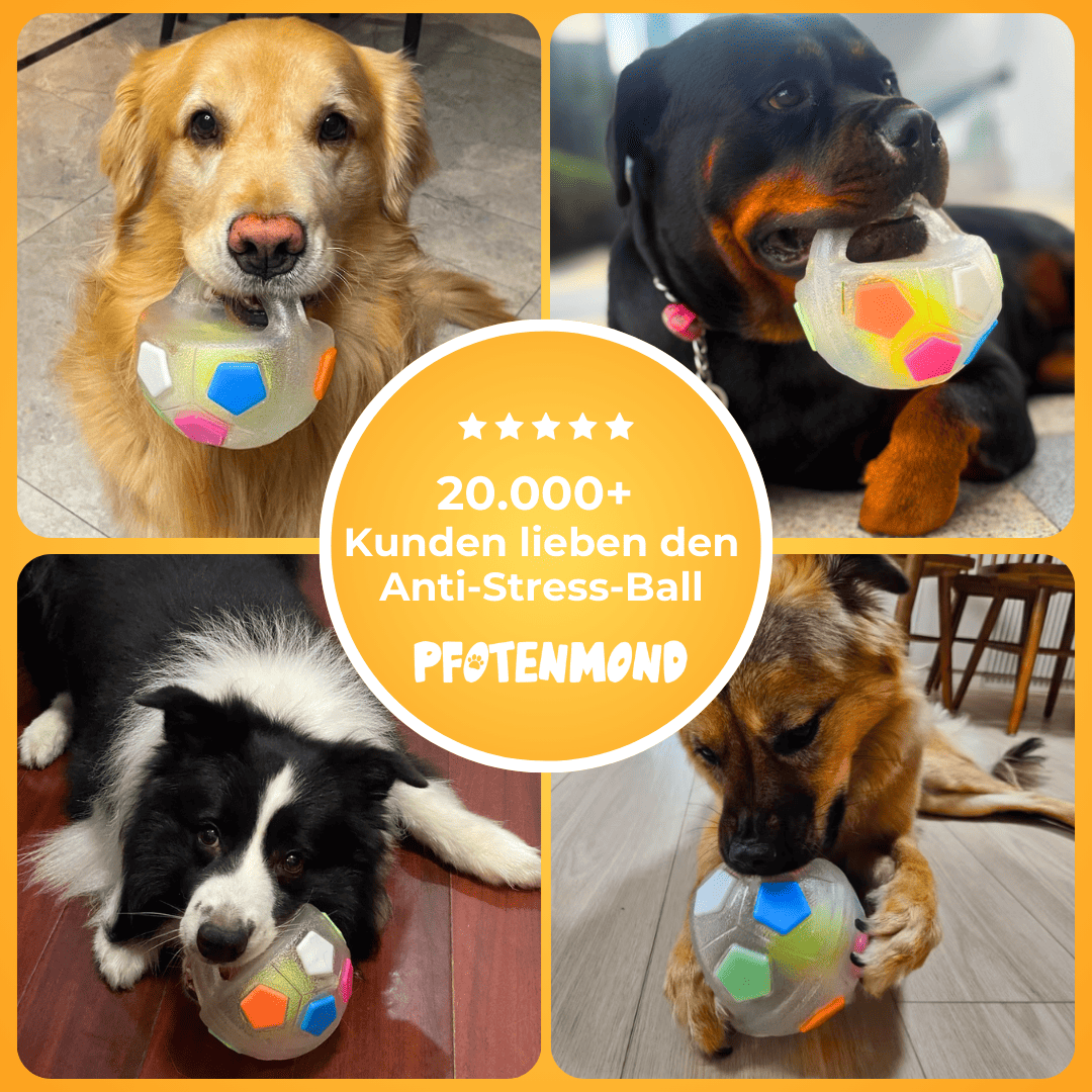 Anti-Stress-Ball - Der Bestseller