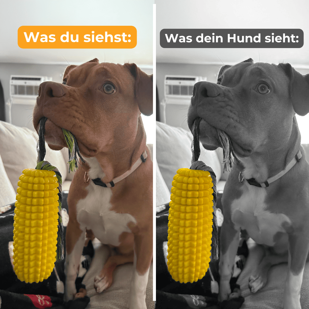 Unzerstörbares Hundespielzeug - Anti Stress Ente Für Aggressive Kauer