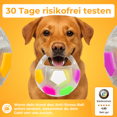 Anti-Stress-Ball - Der Bestseller