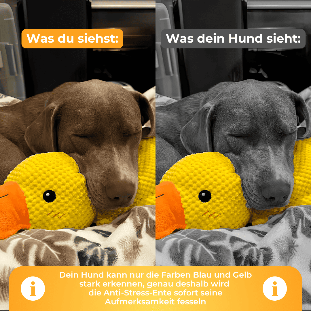 Anti-Stress-Ente - Der Bestseller