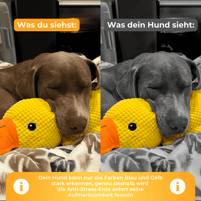 Anti-Stress-Ente - Der Bestseller