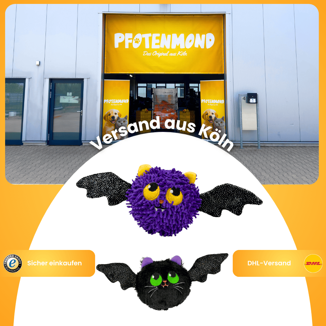 Fledermäuschen