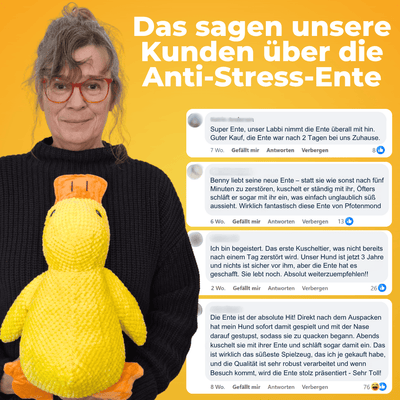 Anti-Stress-Ente - Der Bestseller