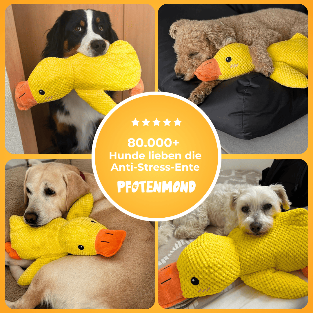 Anti-Stress-Ente - Der Bestseller