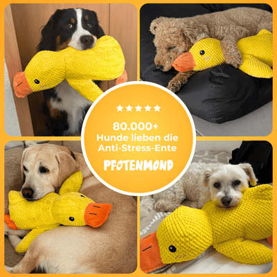Anti-Stress-Ente - Der Bestseller