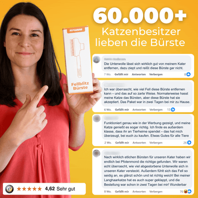 Fellblitz-Bürste - Der Bestseller