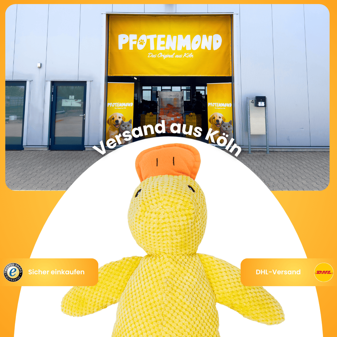 Anti-Stress-Ente - Der Bestseller