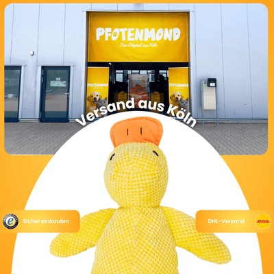 Anti-Stress-Ente - Der Bestseller