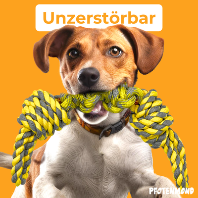 Unzerstörbares Hundespieltau