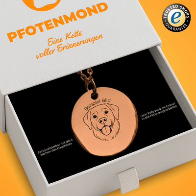 Halskette mit graviertem Hundeportrait und Namen