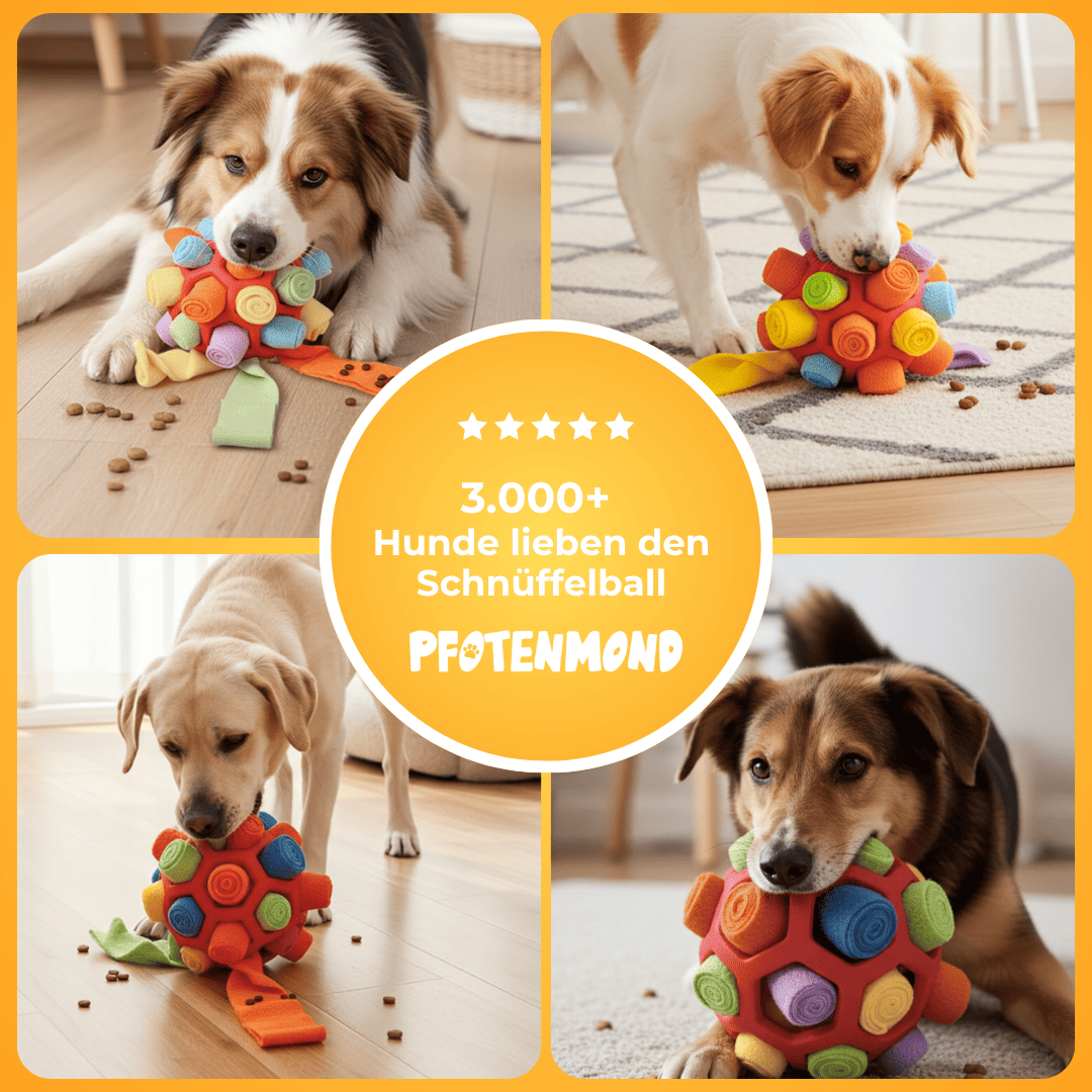 Schnüffelball - Pfotenmond