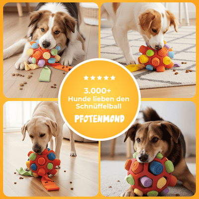 Schnüffelball - Pfotenmond