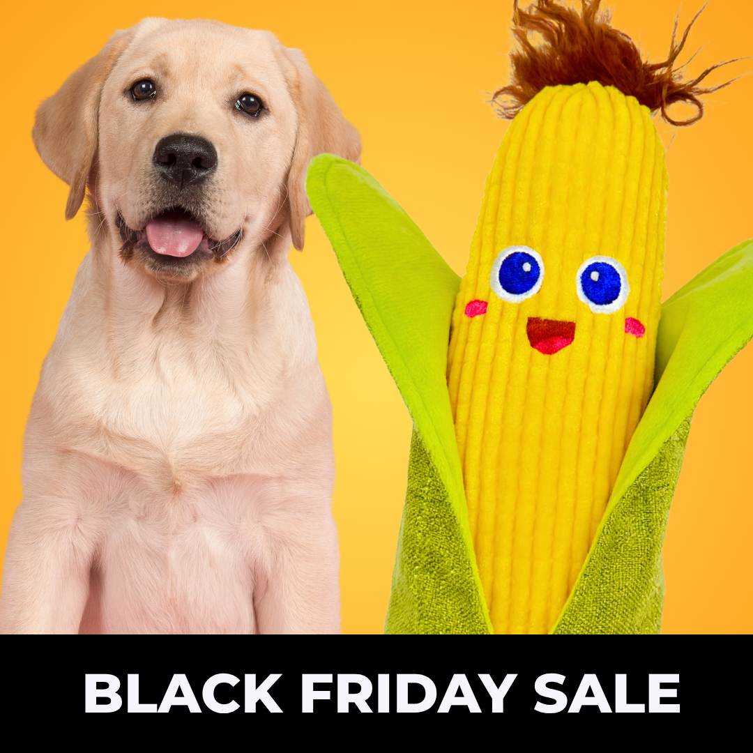 Maiskölbchen - Black Friday Sale