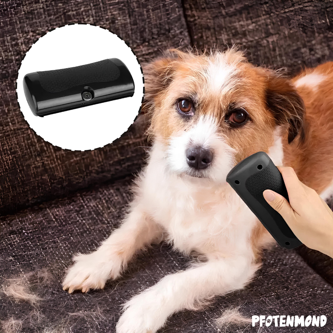 Groomify Haarbürste Für Hunde & Katzen – Unterwolle Entfernen, Mit Komfortgriff & Reinigungsfunktion