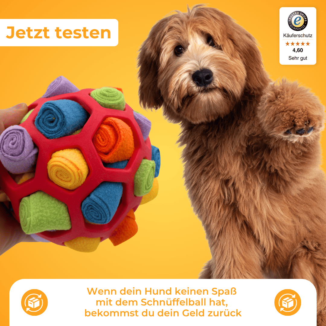 Schnüffelball für Hunde