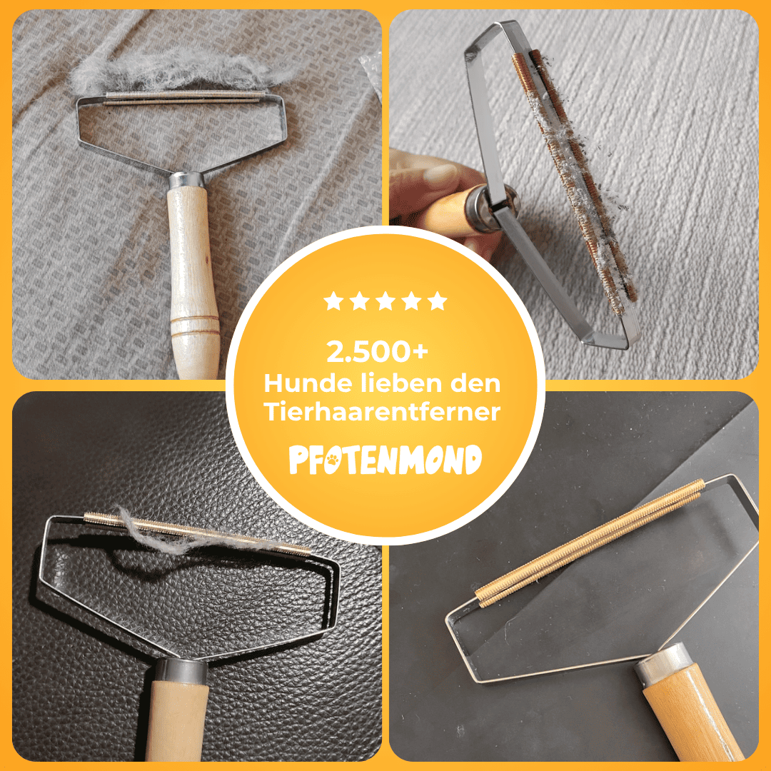 Tierhaarentferner für Möbel & Kleidung