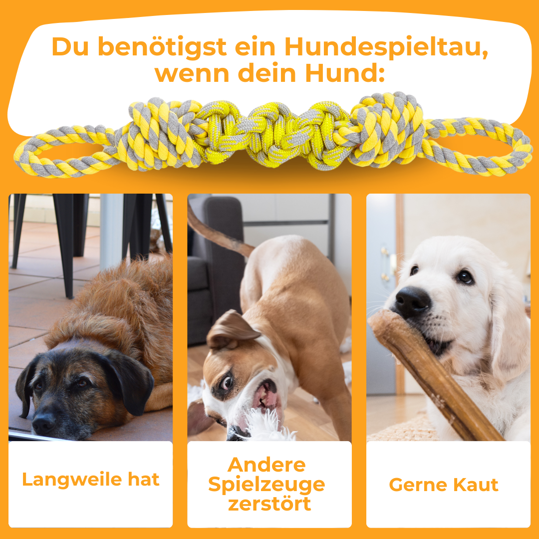 Unzerstörbares Hundespieltau