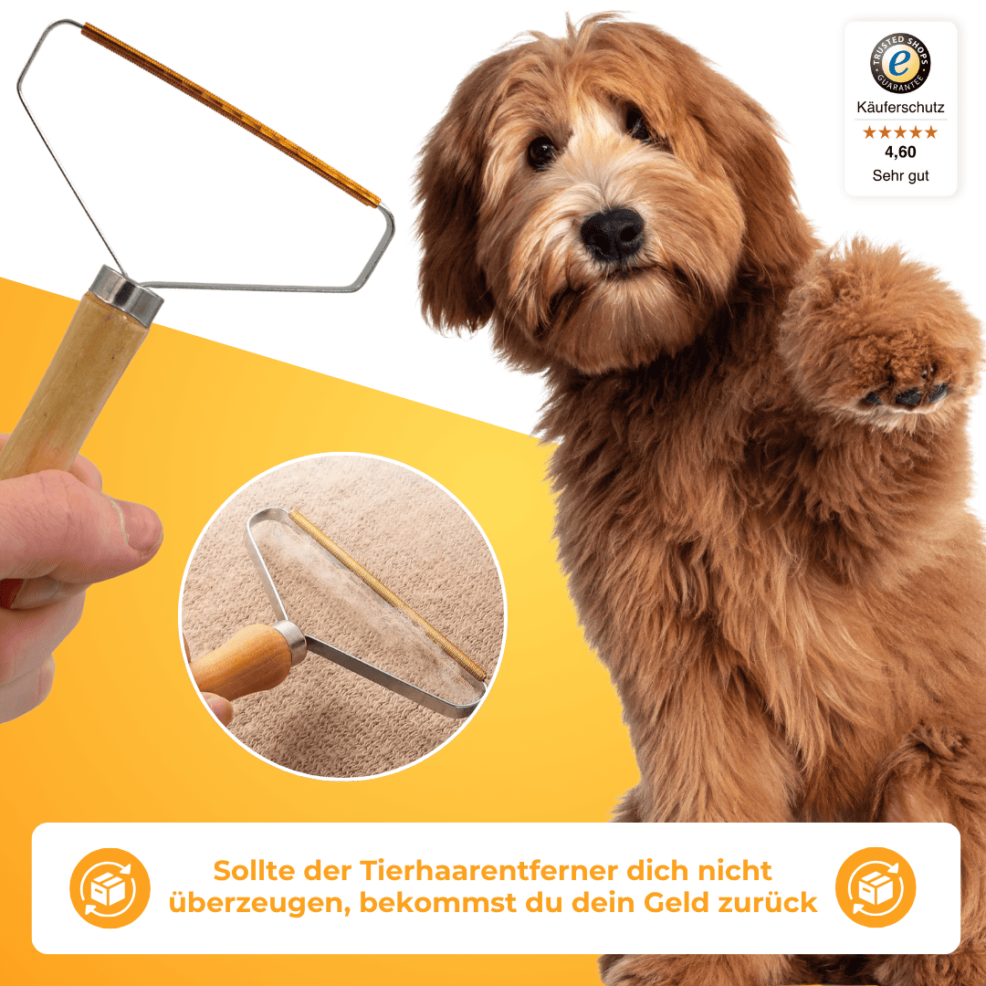 Tierhaarentferner für Möbel