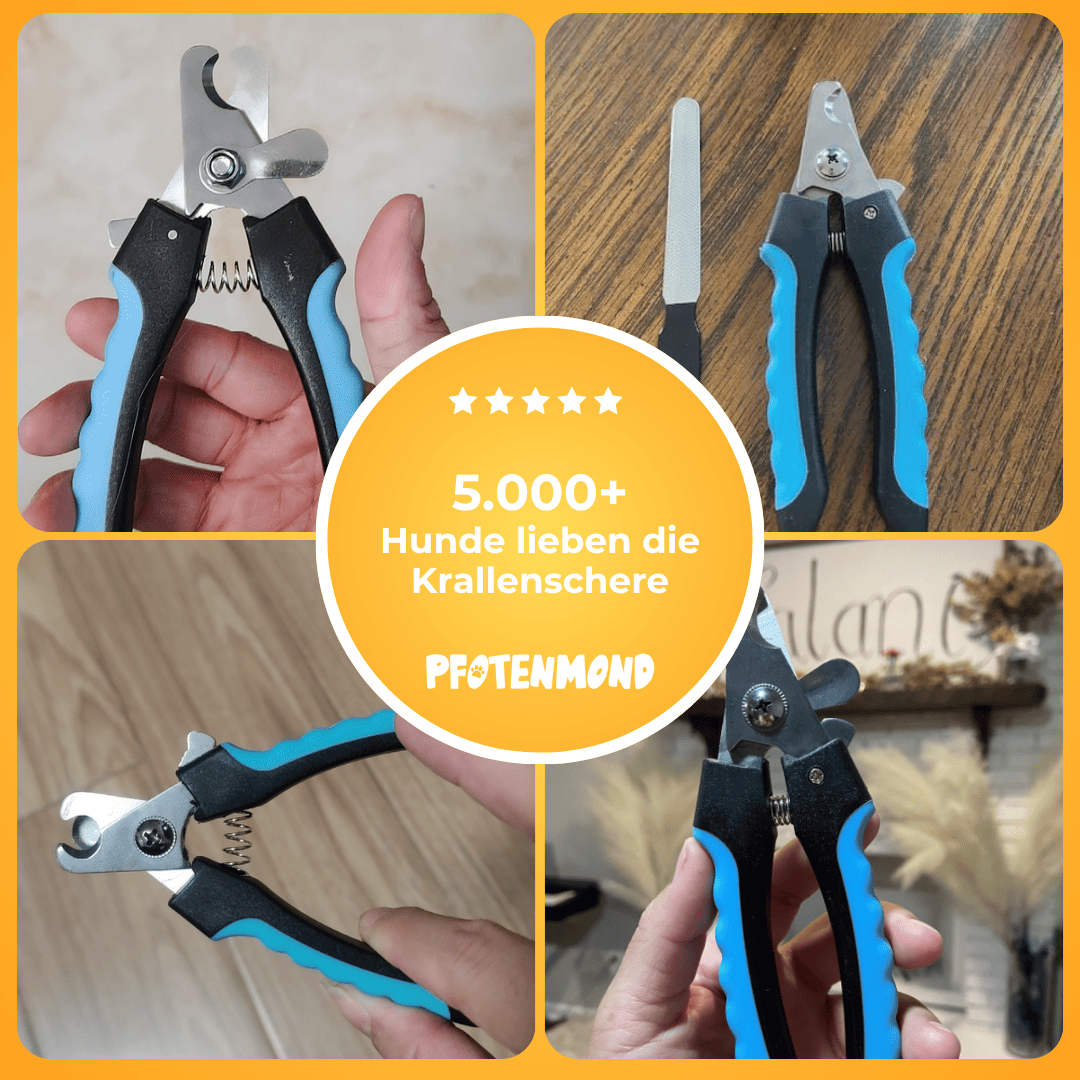 Krallenschere