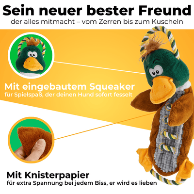 Knisterente