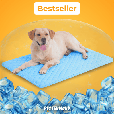 PfotenFrost - Der Bestseller