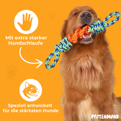 Unzerstörbares Hundespieltau