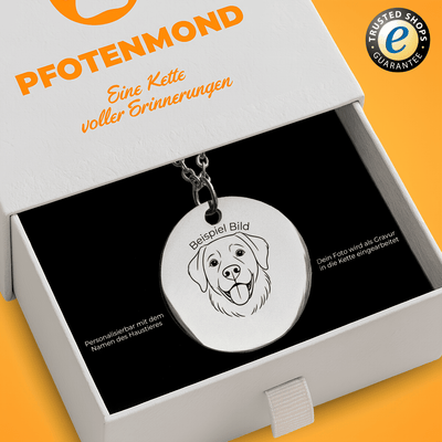 Halskette mit graviertem Hundeportrait und Namen