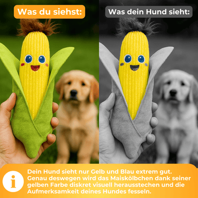 Maiskölbchen