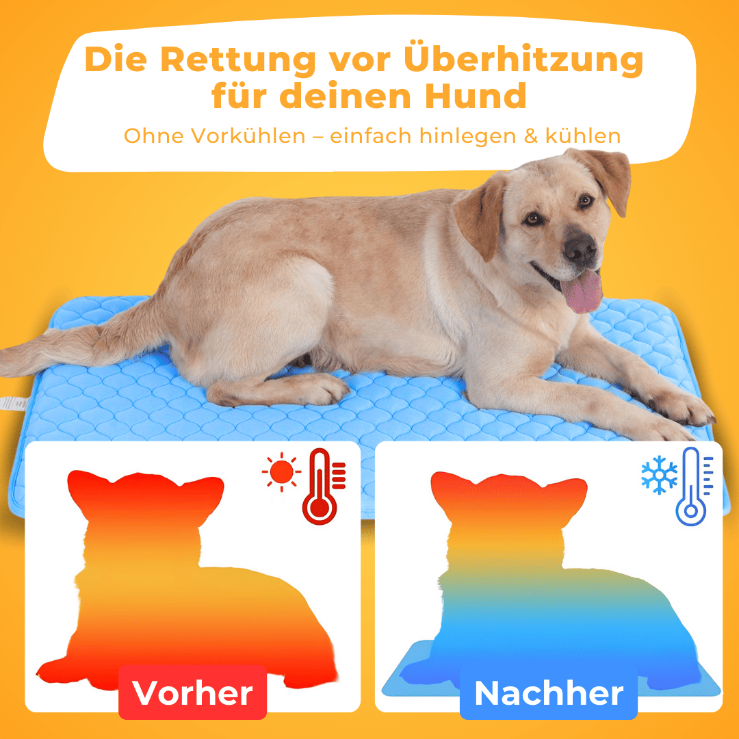 Kühlmatte Für Hunde & Katzen – Selbstkühlend, Waschbar, 70x55 Cm Für Sommer, Bett & Auto