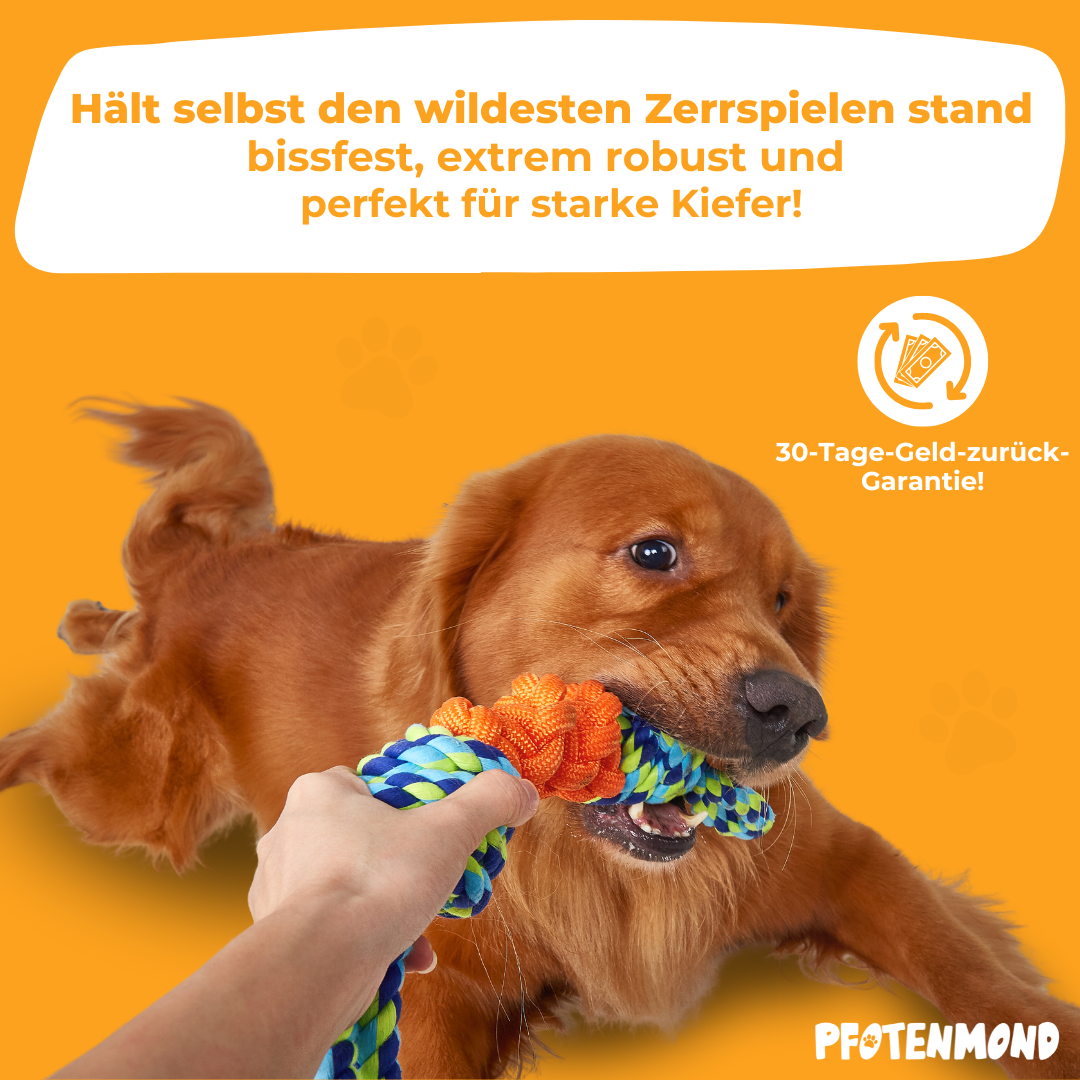 Unzerstörbares Hundespieltau