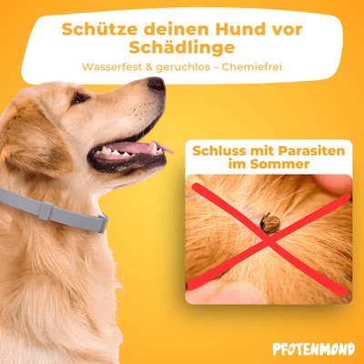 Anti-Zecken-Halsband | 2025 Edition