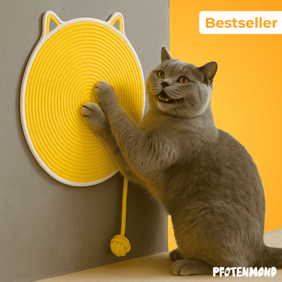 Kratzwunder - Der Bestseller