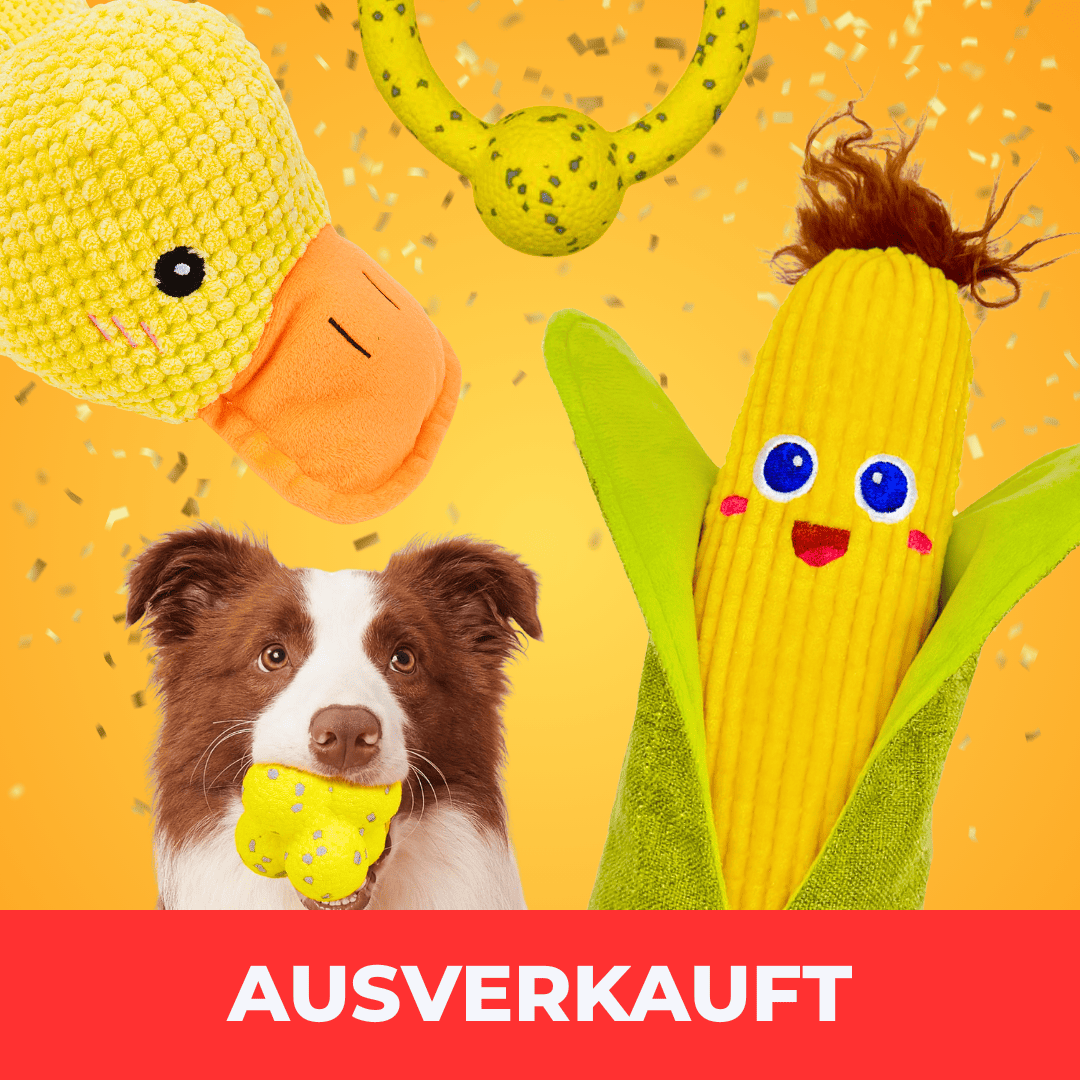 XXL-Black-Friday-Bundle