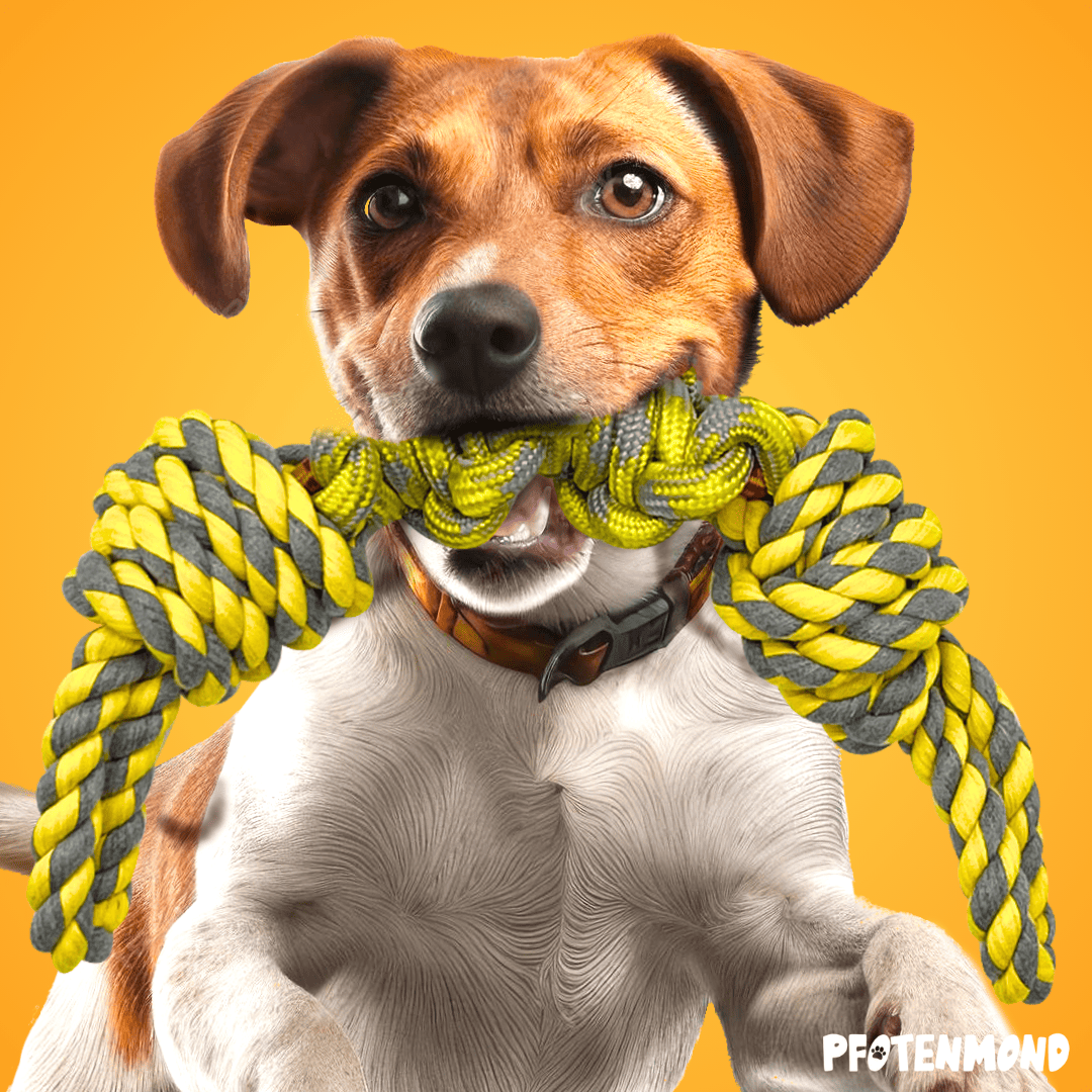 Hundespieltau