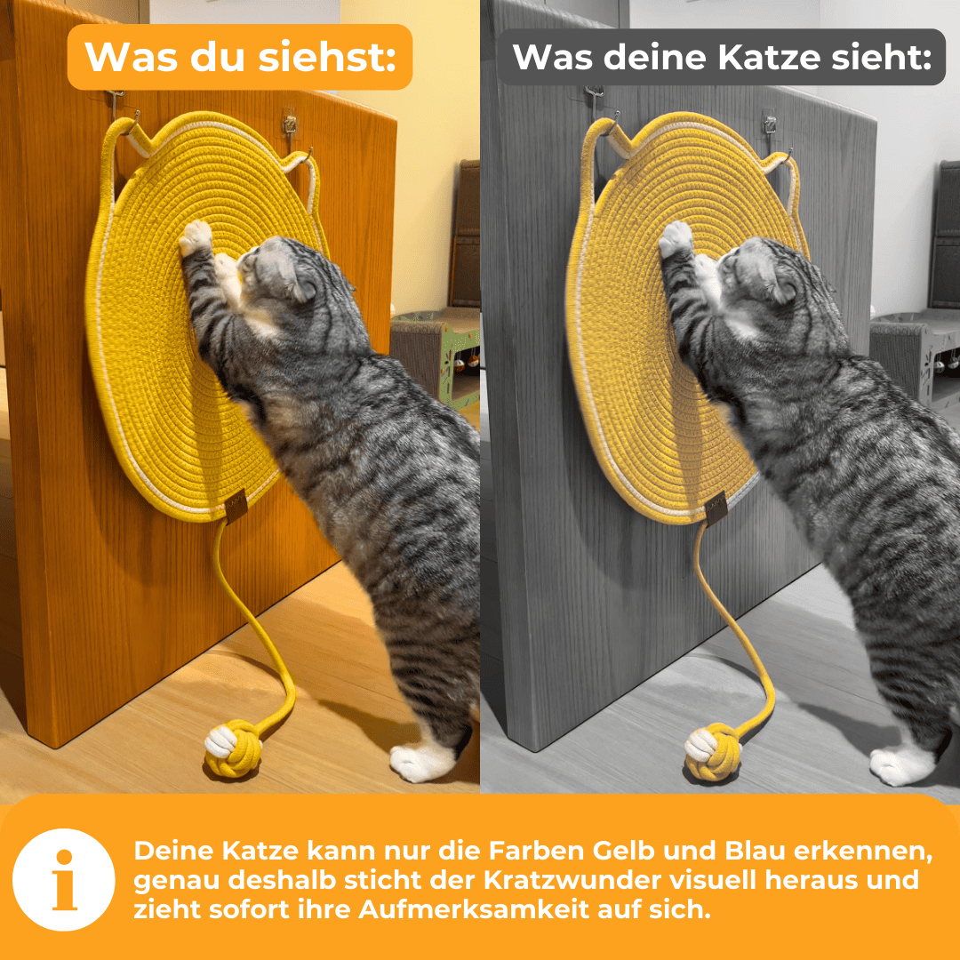 Kratzwunder - Der Bestseller