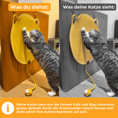 Kratzwunder - Der Bestseller