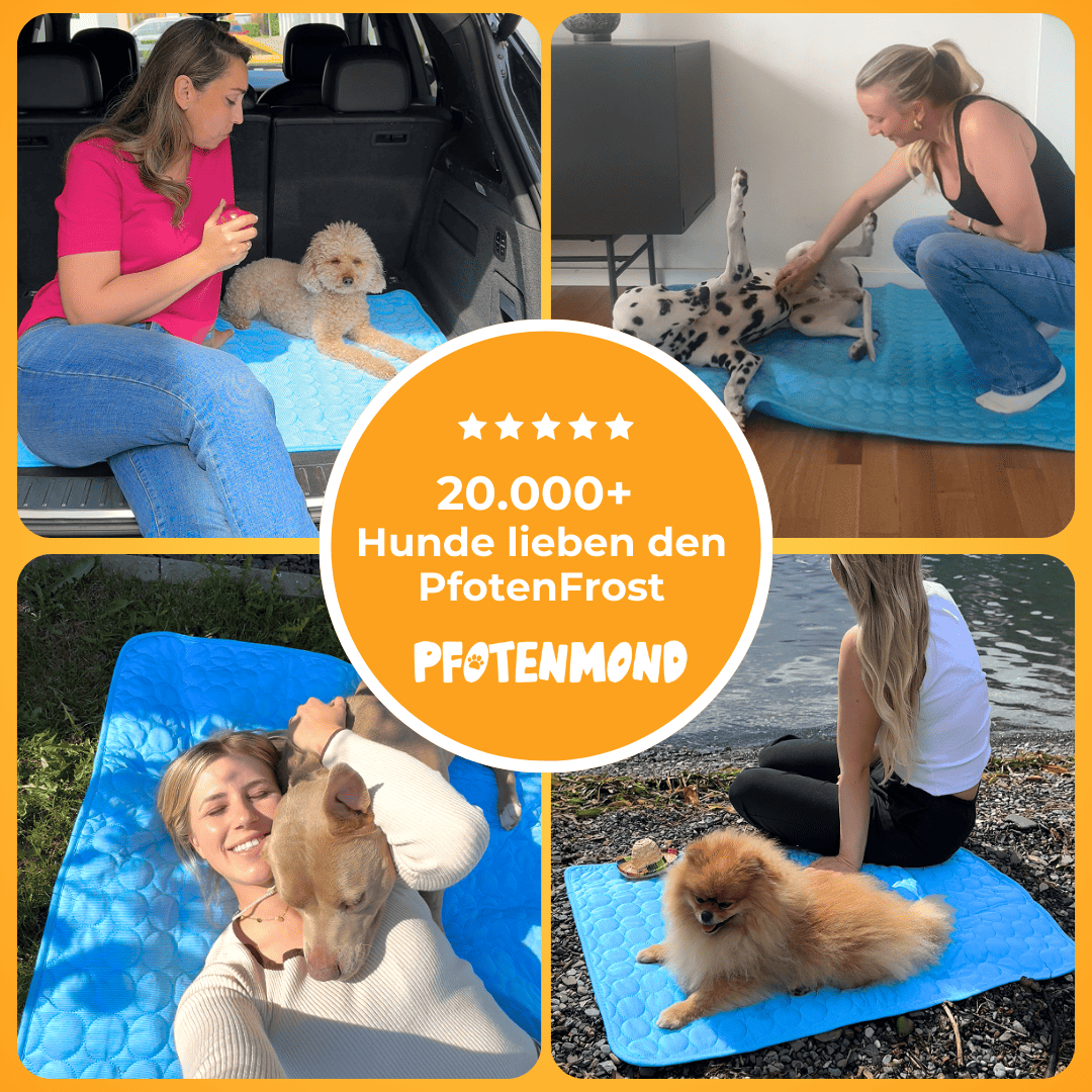 Kühlmatte Für Hunde & Katzen – Selbstkühlend, Waschbar, 70x55 Cm Für Sommer, Bett & Auto
