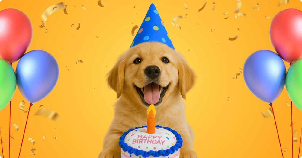 ¿Tu perro cumple años pronto?