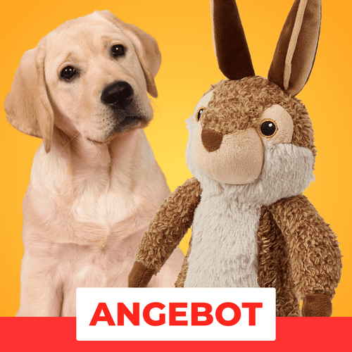 Max-Bunny -  25% Rabatt 🎁