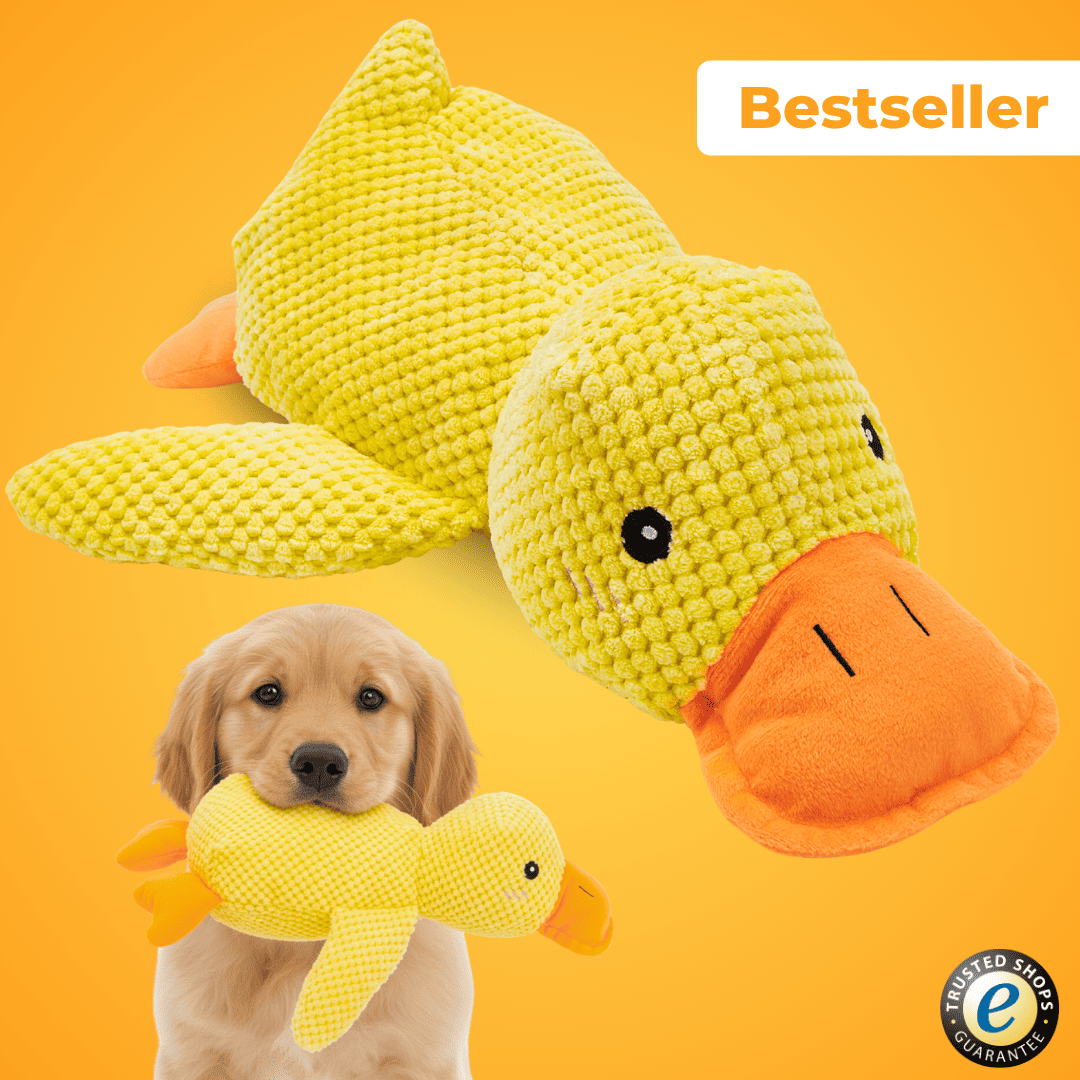 Anti-Stress-Ente - Der Bestseller