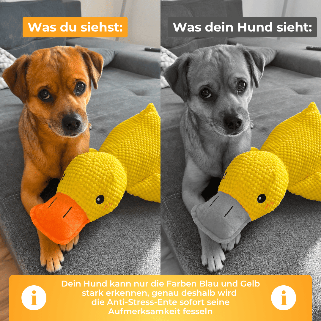 Anti-Stress-Ente für Hunde