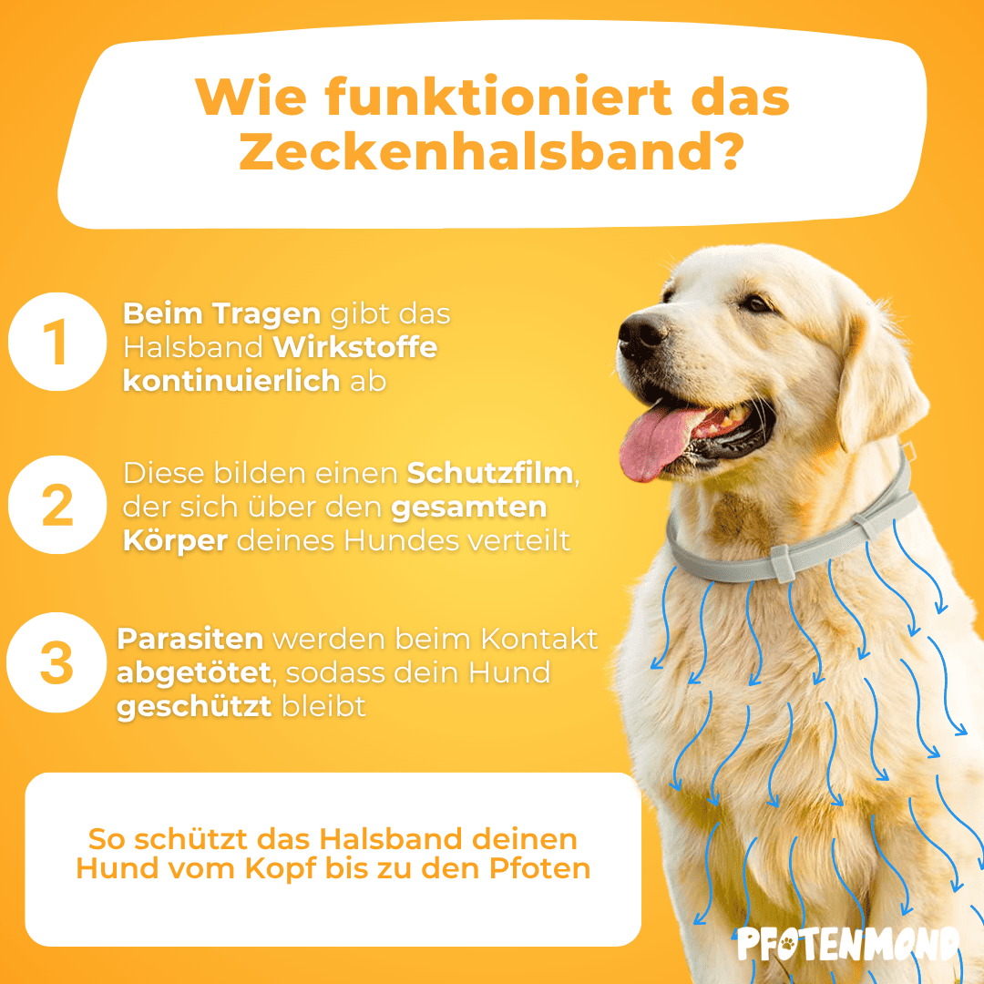 Zeckenhalsband | 2025 Edition