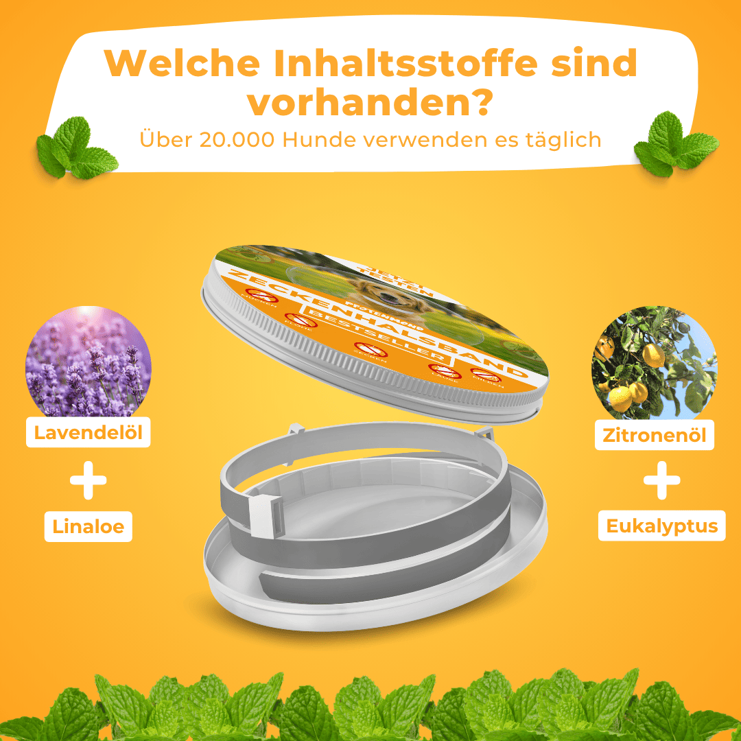 Zeckenhalsband | 2025 Edition