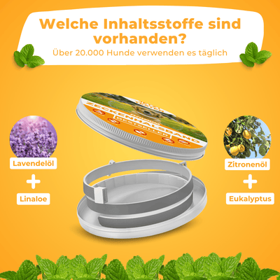 Zeckenhalsband | 2025 Edition