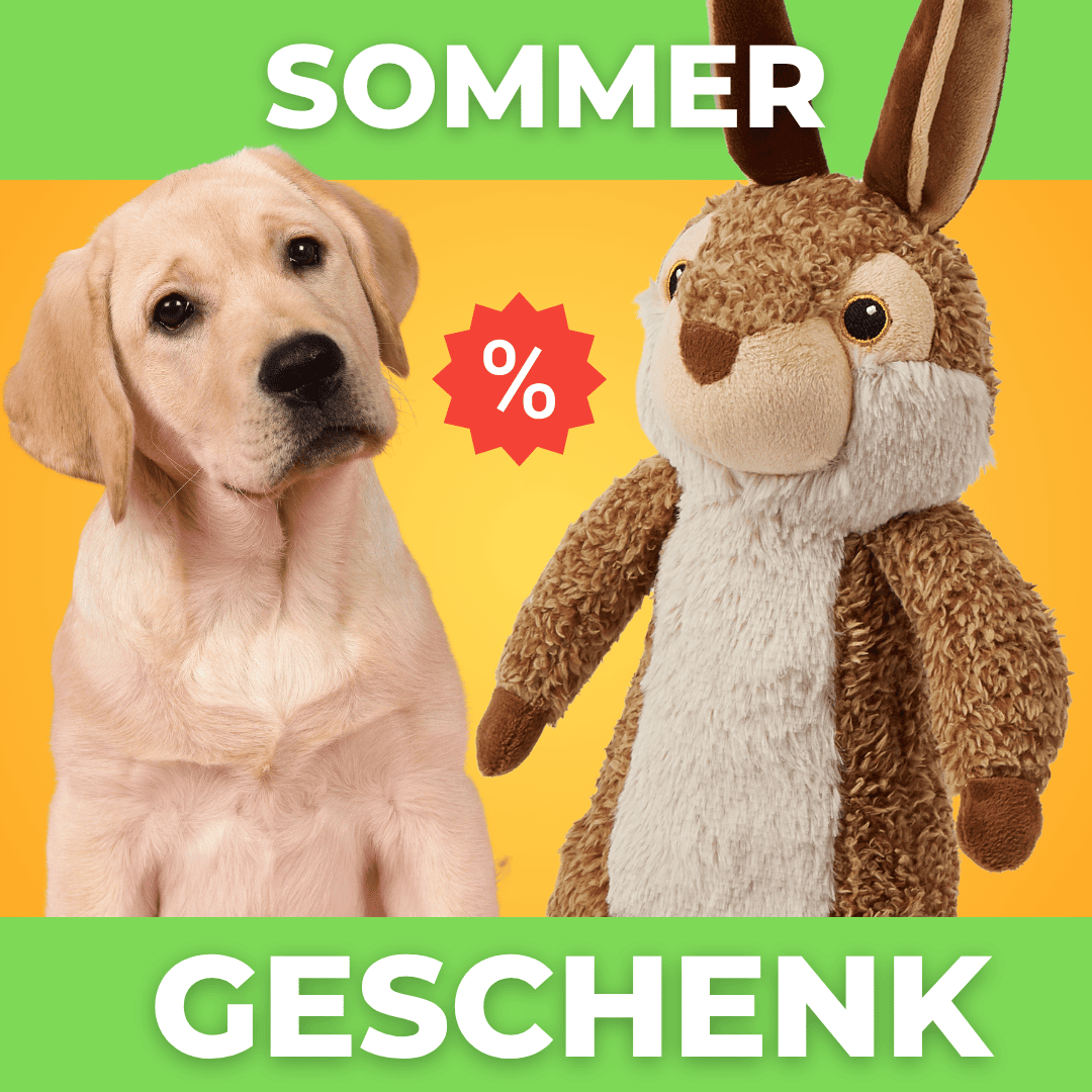Max-Bunny - 60% Rabatt 🎁