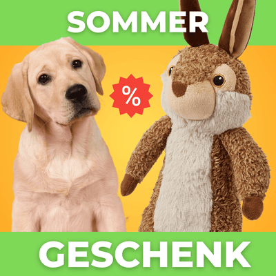 Max-Bunny - 60% Rabatt 🎁