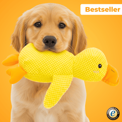 Anti-Stress-Ente - Der Bestseller