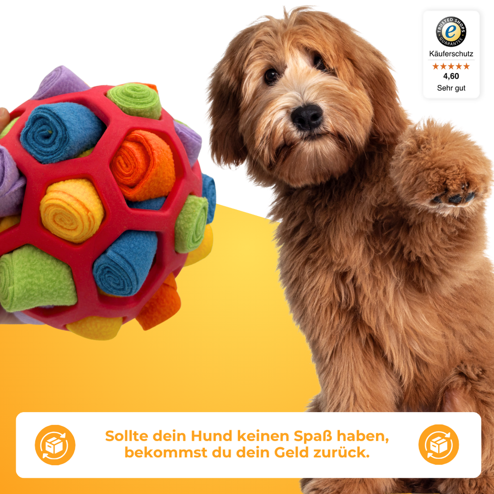Pelota olfativa KikoPets