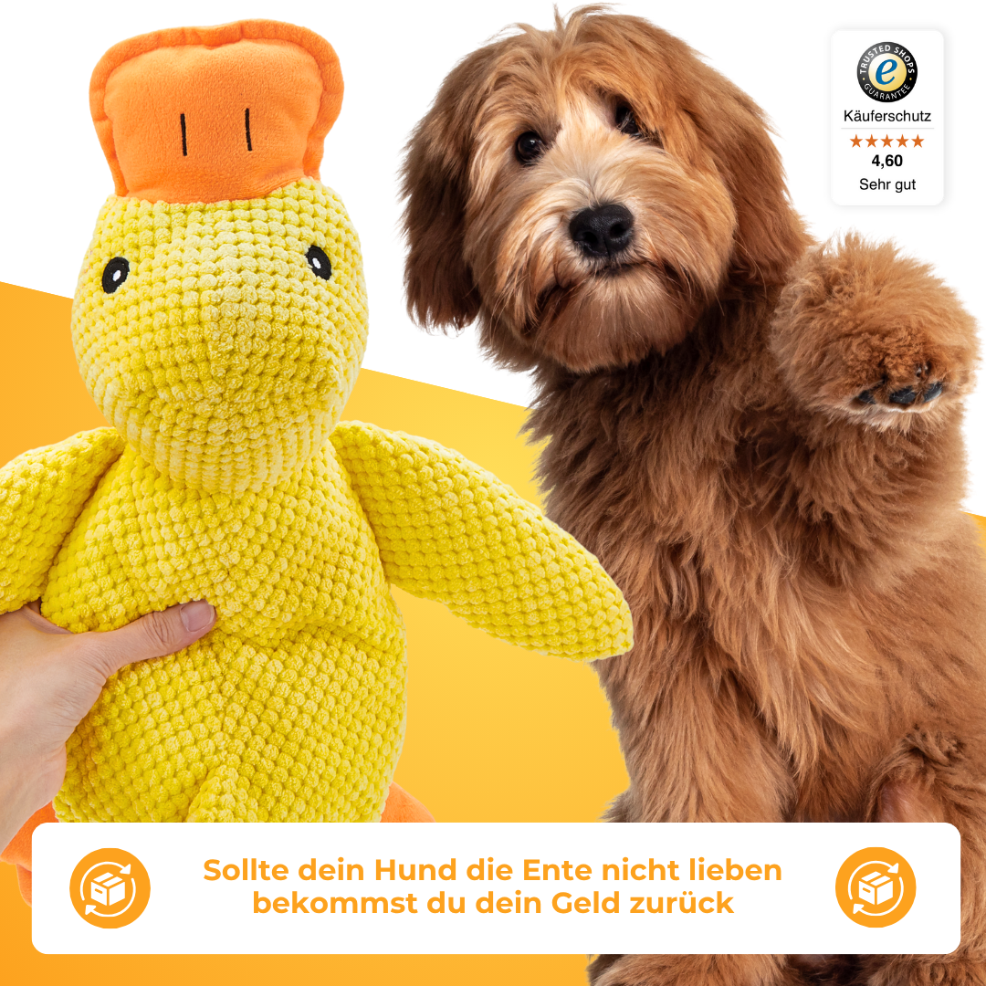 Anti-Stress-Ente für Hunde